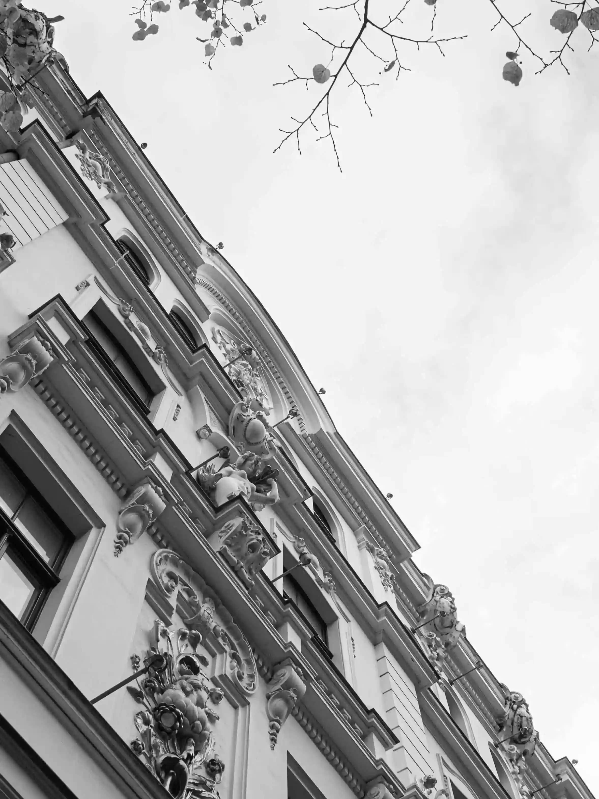 Profesionāla nekustamā īpašuma pakalpojumi